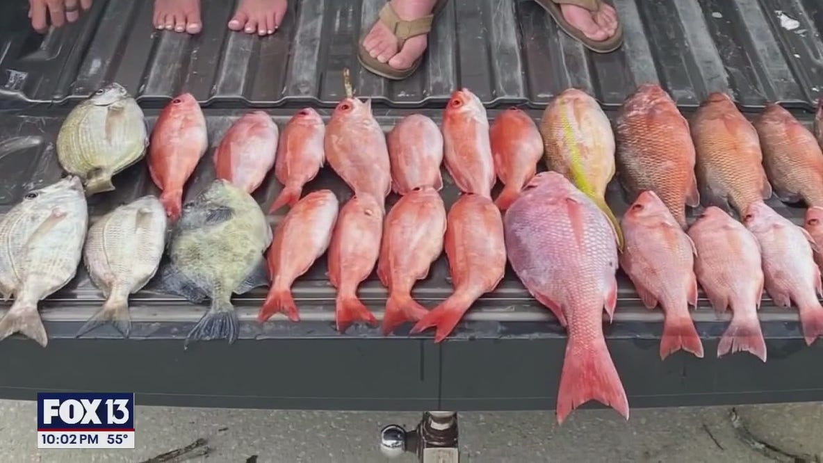 Extended red snapper season